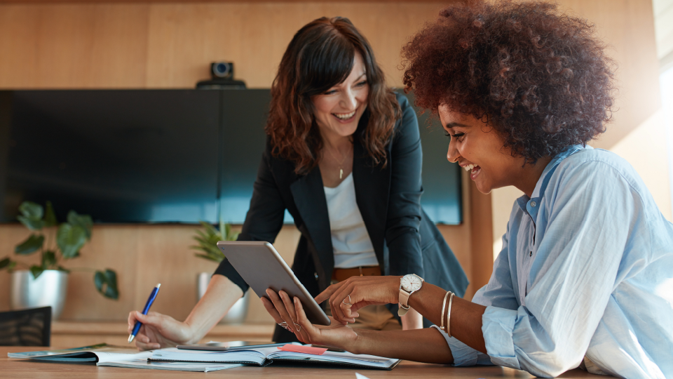 Accountants Portal Small